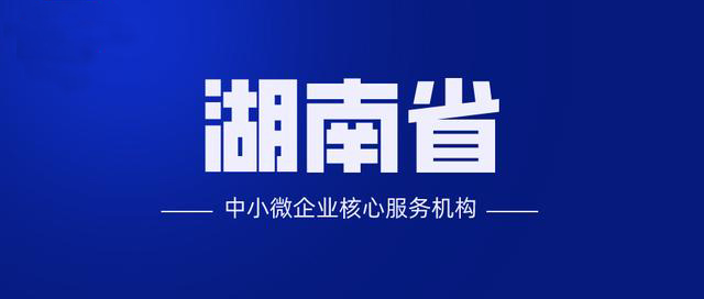 恭喜我司入选湖南省中小微企业核心服务机构